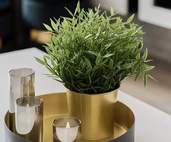 Odra Tower Center Of By Renters Prestige * Breslavia